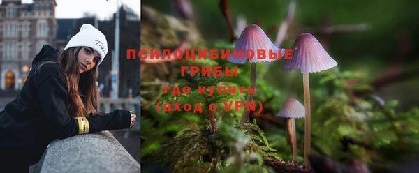 дмт Елабуга