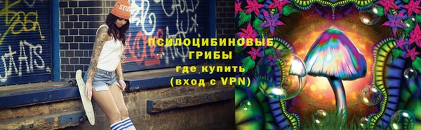 ALPHA-PVP Елизово