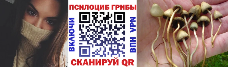 Купить  Костерёво  Галлюциногенные грибы ЛСД 